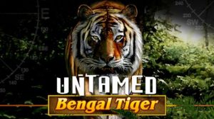 Bengal Tiger Kasinopeli logo